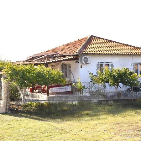 Вилла Amarantos Beautiful Garden House Metokhion Patriotikon Экстерьер фото