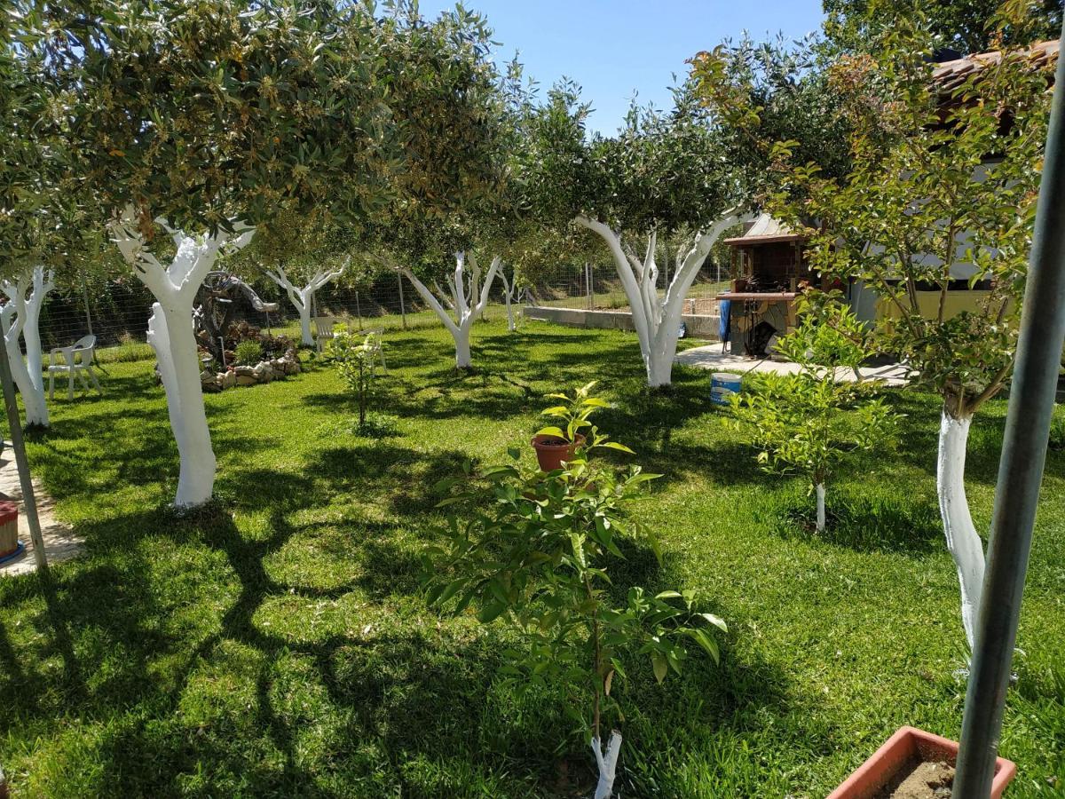 Вилла Amarantos Beautiful Garden House Metokhion Patriotikon Экстерьер фото